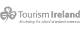 Tourism Ireland logo